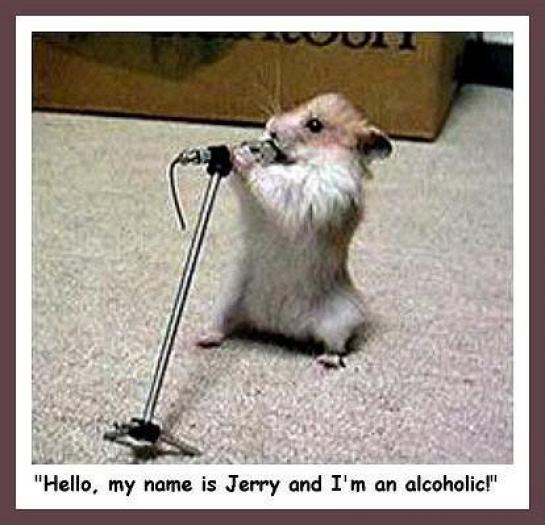 hello,my namy is Jerry and i - Funny Animals