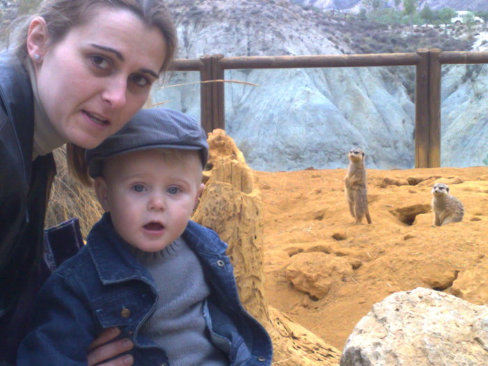 291120091099 - mini holiwood