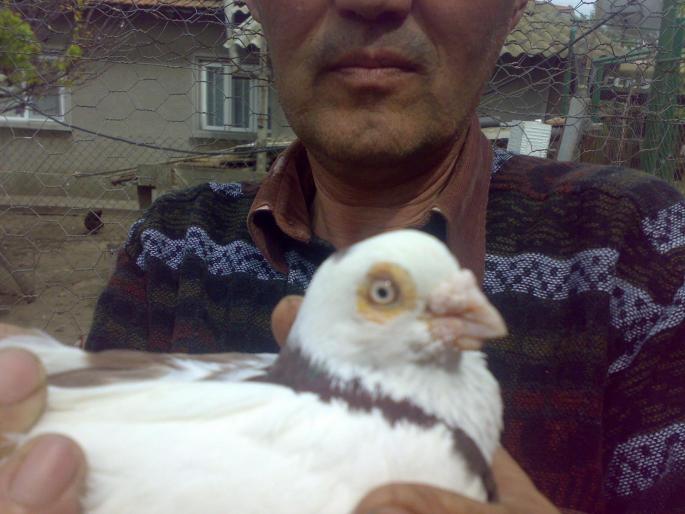 19042008155 - 1706 Aidar Abduraman