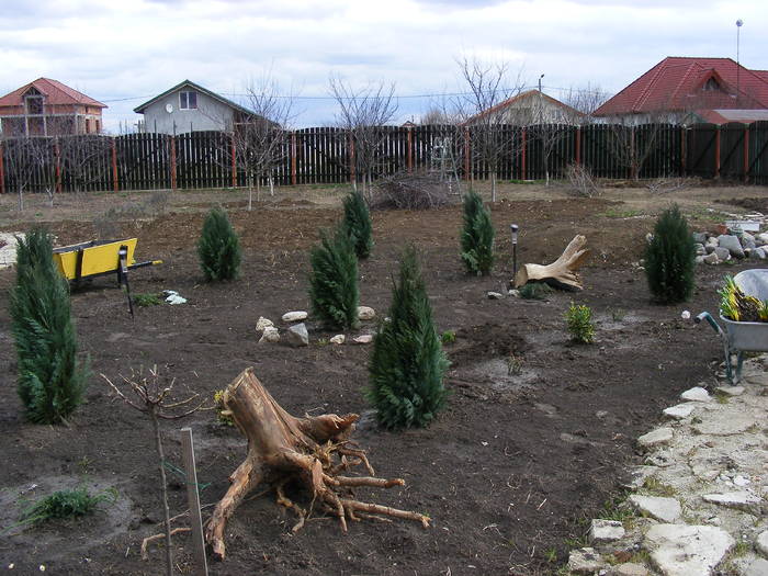 2009_02060012 - Amenajare gradina 2009