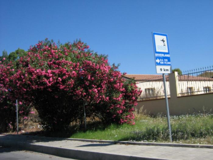 vera1 405