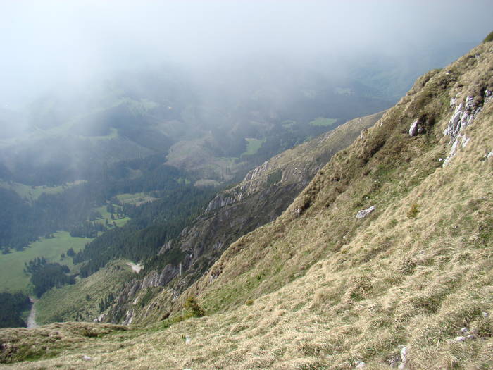 DSC03244 - Piatra Craiului MAI