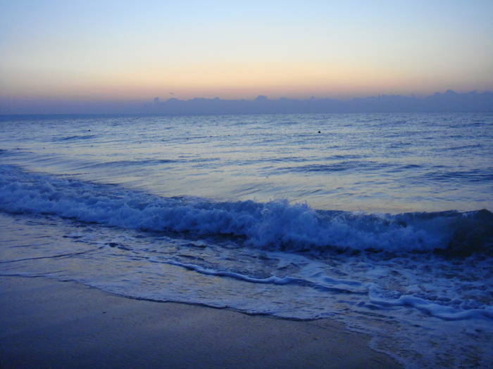 005 - rasarit 09 aug 2009