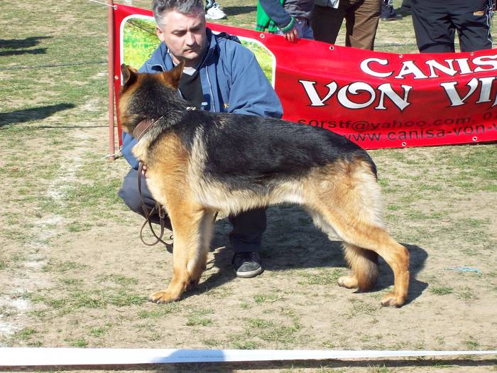 100_6838 - Expo-Pitesti-28martie2009