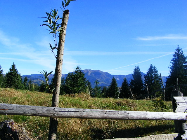 DSCF6421 - muntii Rodnei