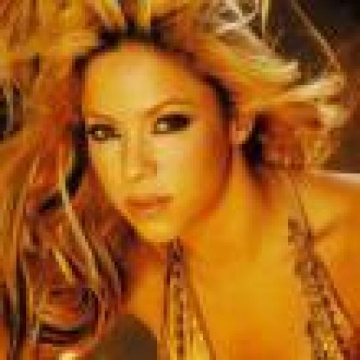 shakira 3 - Concurs Shakira sau Andreea Balan