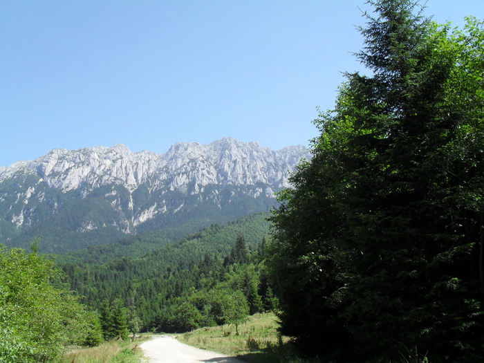 SDC10066 - piatra craiului