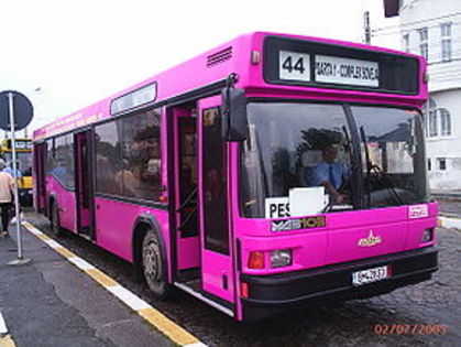290px-Constanta_pink_bus - CONSTANTA