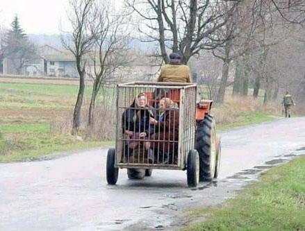 (72) - Funny Pictures