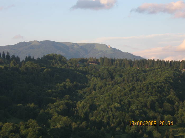 IMG_0745 - 2009 - Nunta AnaMaria Danciu