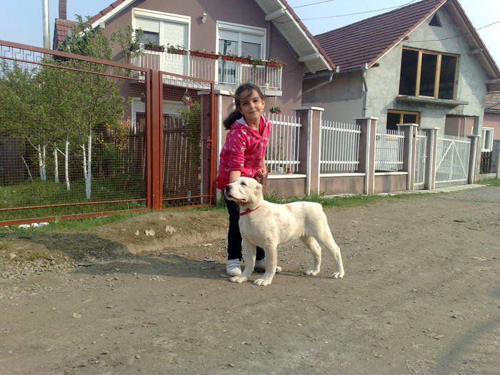 043020091317 - ALTAY