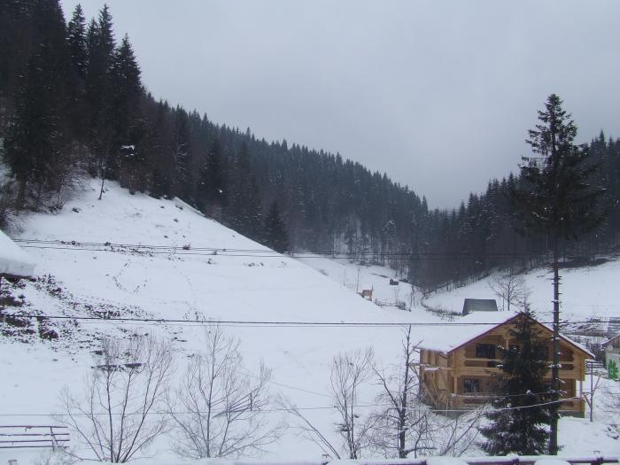 DSCF4749 - poiana zinelor