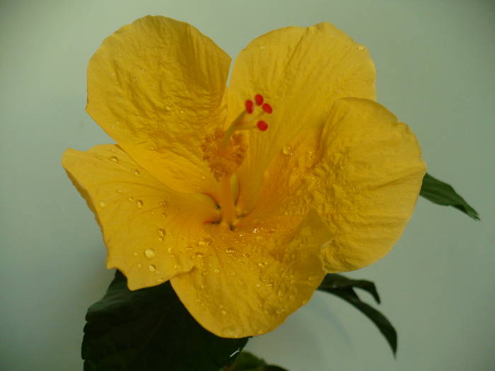 P1140581