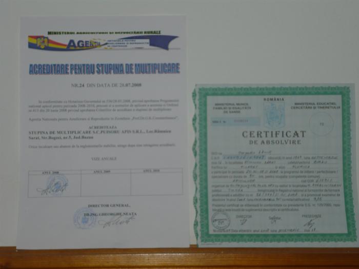 P1000485 - diplome