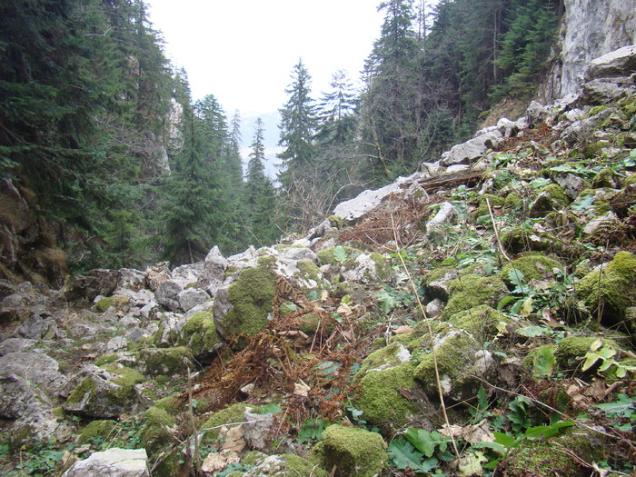 DSC04574