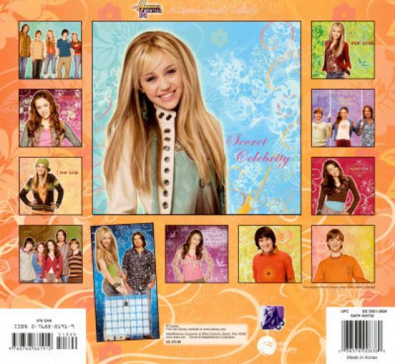 ag41731n191846 - hannah montana