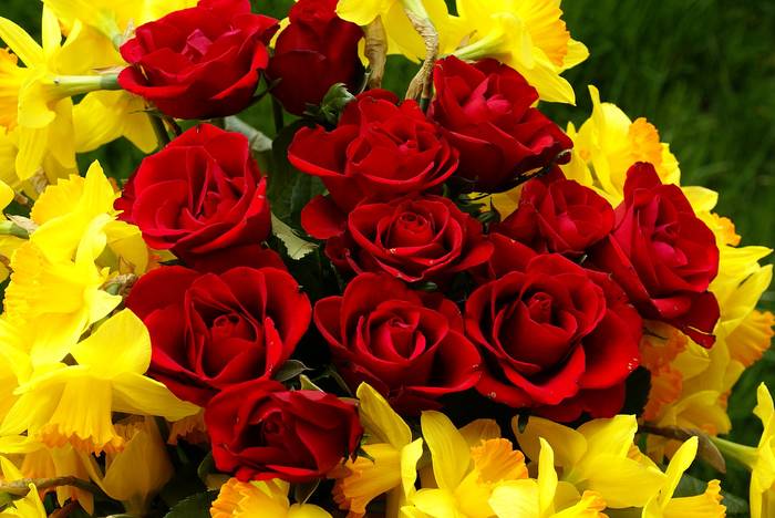 R2 - Roses red and yellow narcissus bouquet