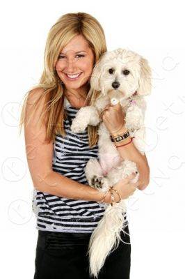 normal_lq028 - Ashley Tisdale
