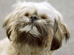 a_superstock_1566-0171415