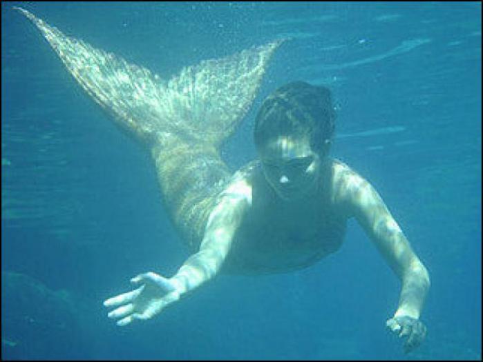 MLEEBRXFTTDQQPHBXIK[1]