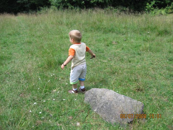 Picture 176 - 2008 - Barsana si Mogosa