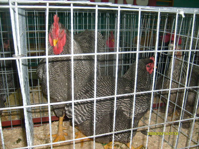 S6304012