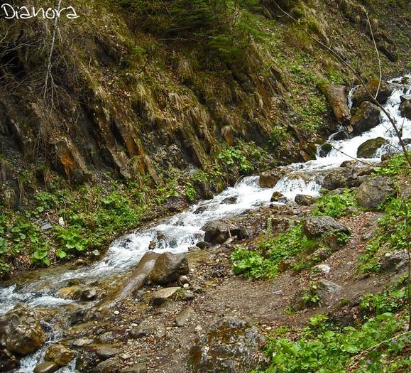 cascada urlatoarea13 - Cascada Urlatoarea