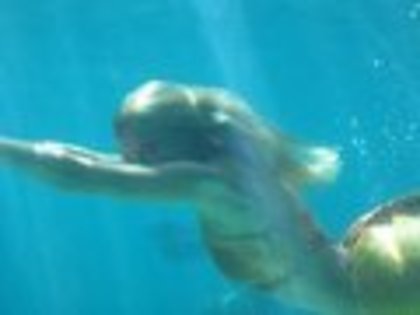 bella-swimming-h2o-just-add-water-season-3-8052634-120-90