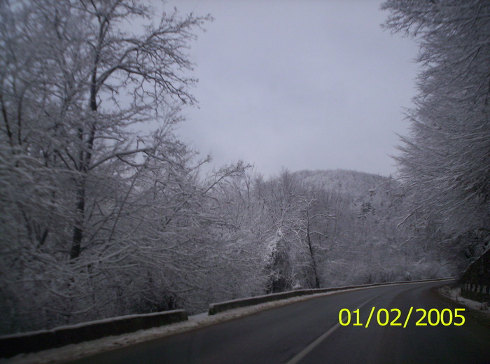 28.12.2009 - spre Valea Jiului