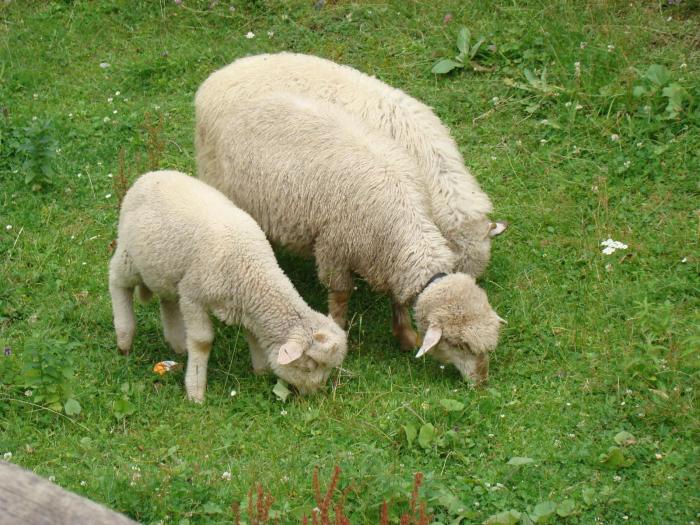 DSC02081 - Concediu 2008