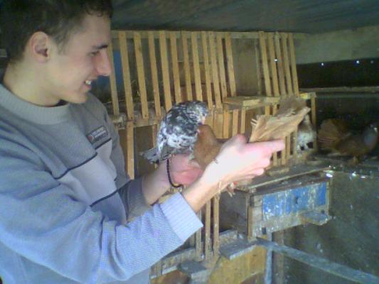 poza0016 - Roller de colectie