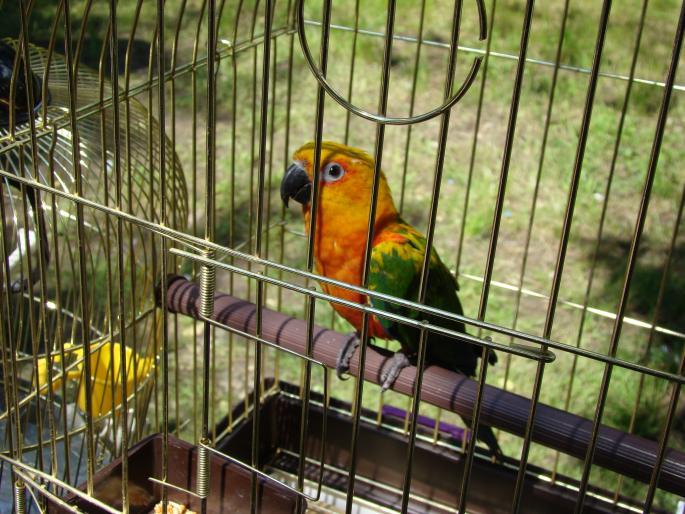 DSC00433