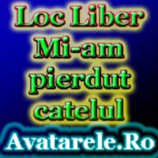 loc liber mi-am pierdut catelul - avatare