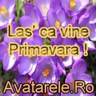 28 - poze avatar primavara