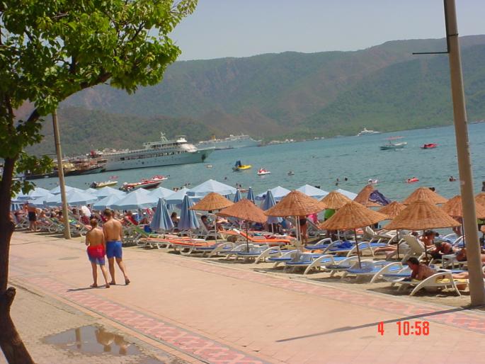 DSC03453