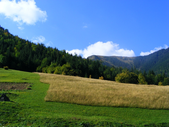 DSCF6274 - muntii Rodnei