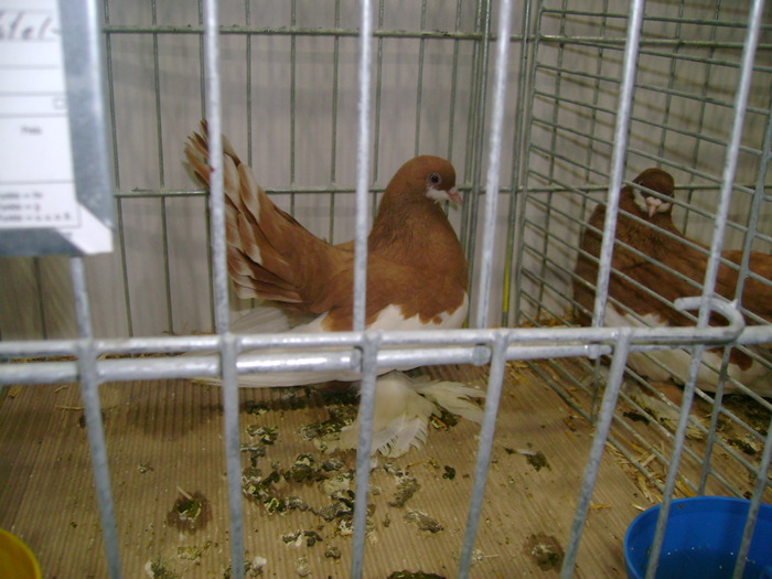 leipzig dec 2009 046