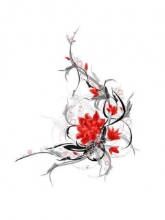 04567861 - Mobile Wallpapers