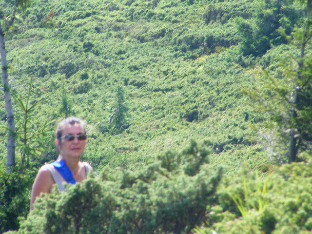 DSCF4407 - 2 august 2009 Traseu Suior Secatura Creasta Cocosului Gutaiul Doamnei  Vf Gutai