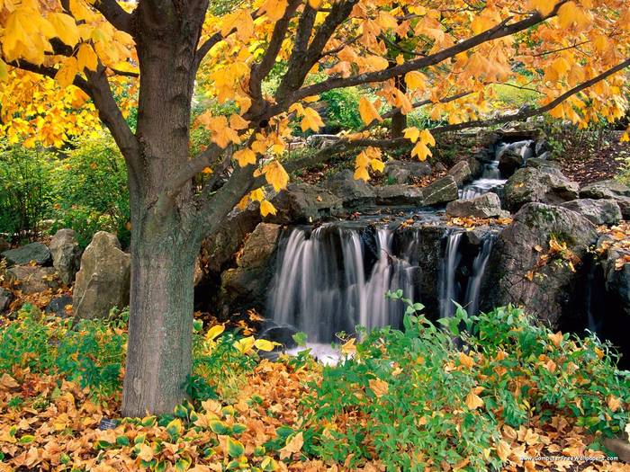 Chicago Botanic Garden, Illinois - Very Beautiful Nature Scenes