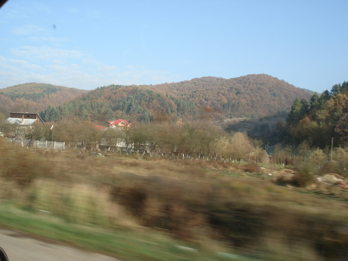 Picture 010 - toamna-traseu- baia mare- satu mare si retur