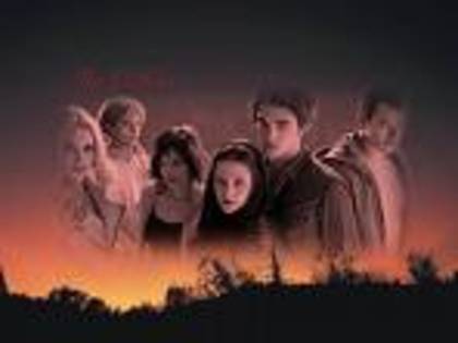 twilight 80