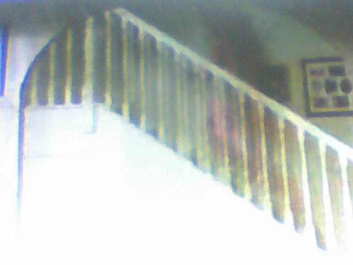 snapshot-388 - Sora lui Cleo Kim