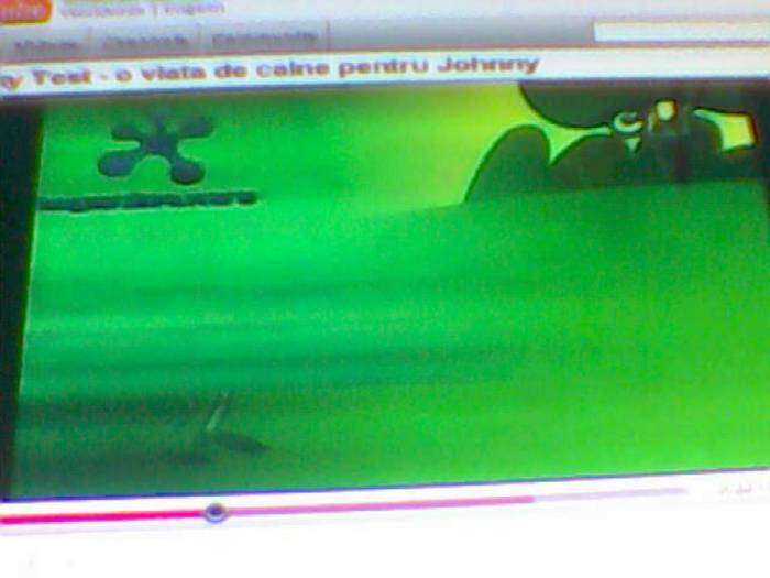 snapshot-3132 - Video Hsm Vedete