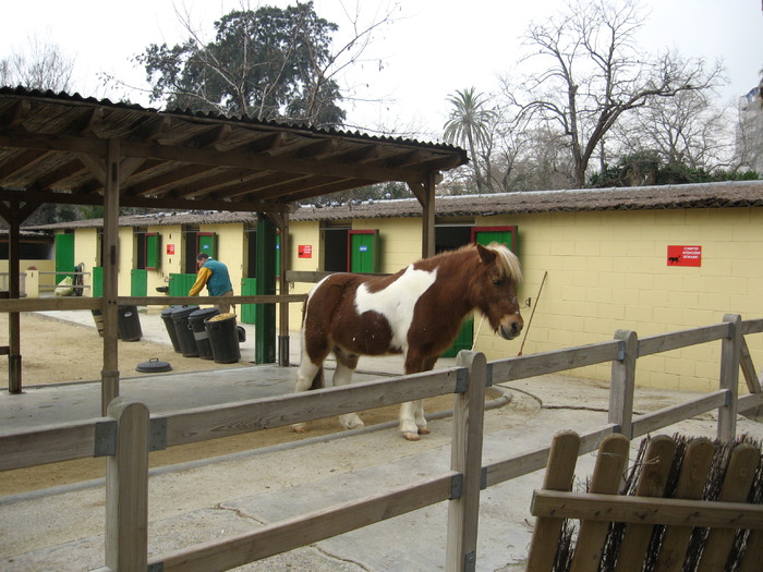 IMG_0452 - Gradina Zoologica din Barcelona