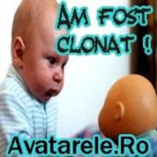 YXSRQSZQYLKXPLIZDAH - Avatare