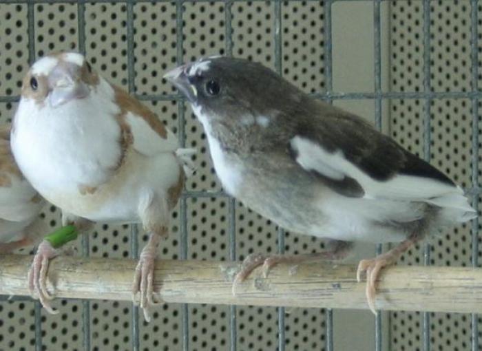 IQZSXNDGTEZAKPKAMYR[2]