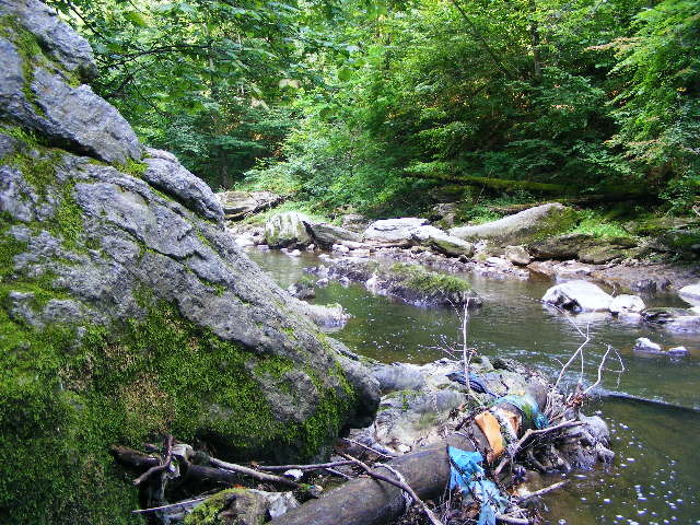 DSCF5110
