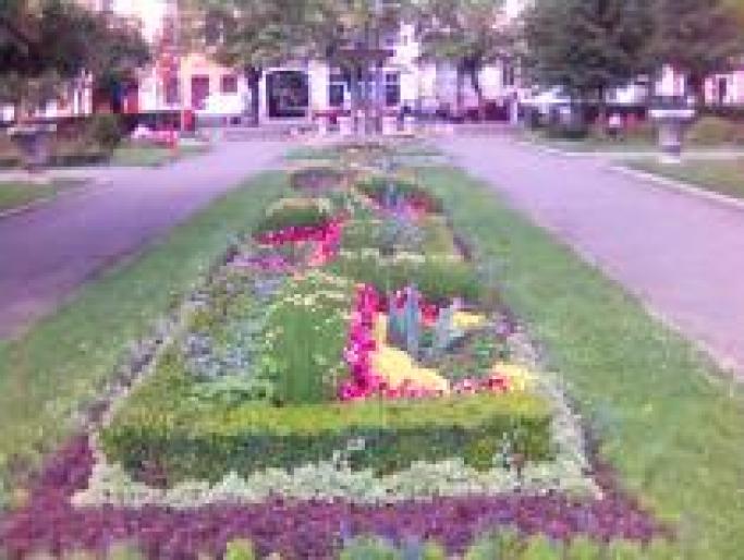 HIJMPNWQGXXDBVNBFEP[1] - poze cu animale si plante