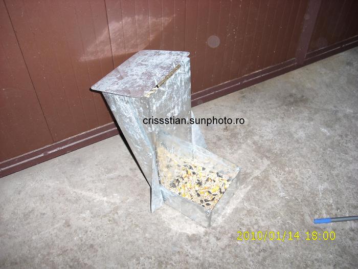 furajator de cereale semiautomat (1) - boxa ianuarie 2010 cu hranitoare pentru cereale